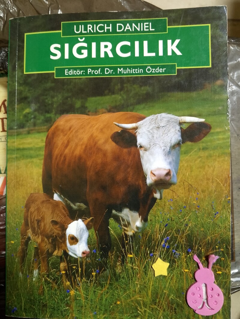 Sığırcılık