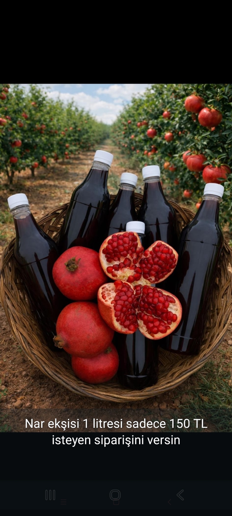 Toptan Hatay nar ekşisi 