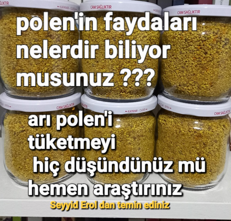 Arı Polen'i 