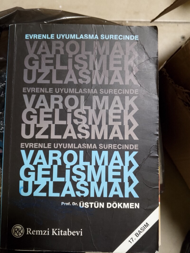 Var olmak uzlaşmak gelişmek 