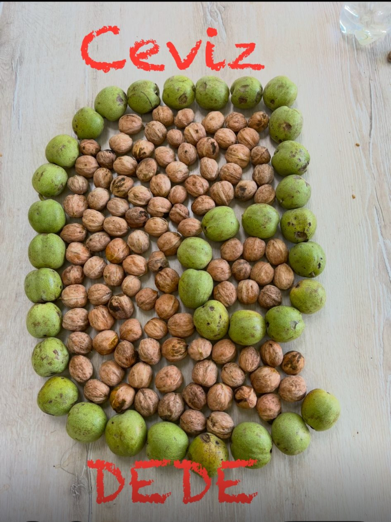 Ceviz