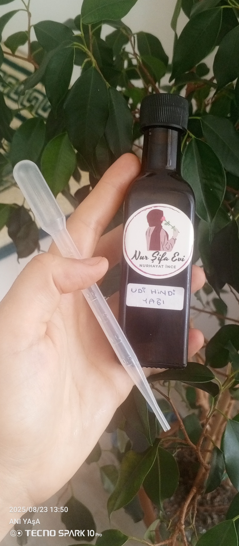 Bitkisel Udi hindi yağı(kust_i bahri) 
